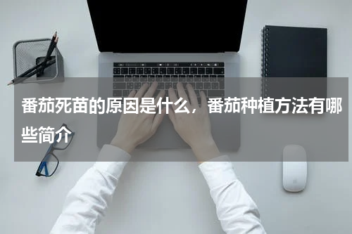 番茄死苗的原因是什么，番茄种植方法有哪些简介