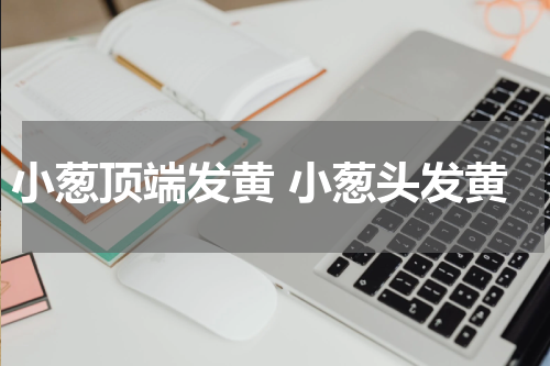小葱顶端发黄 小葱头发黄