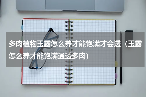 多肉植物玉露怎么养才能饱满才会透（玉露怎么养才能饱满通透多肉）
