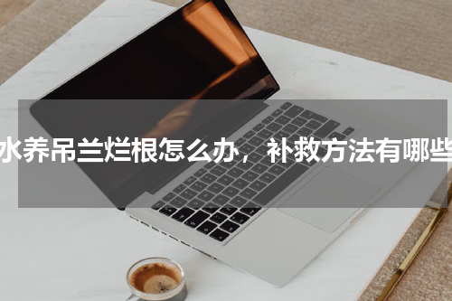 水养吊兰烂根怎么办，补救方法有哪些