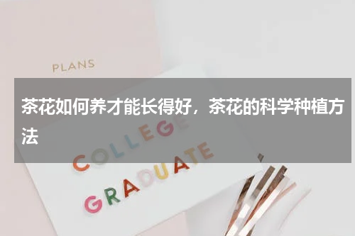 茶花如何养才能长得好，茶花的科学种植方法