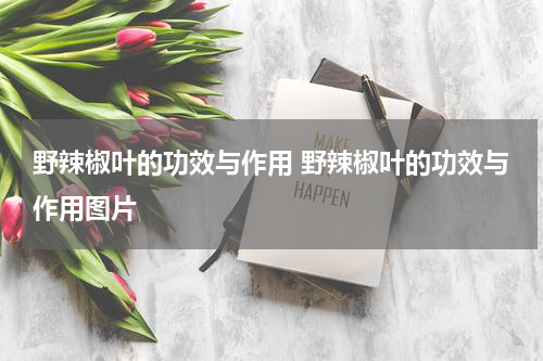 野辣椒叶的功效与作用 野辣椒叶的功效与作用图片