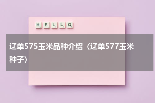 辽单575玉米品种介绍（辽单577玉米种子）