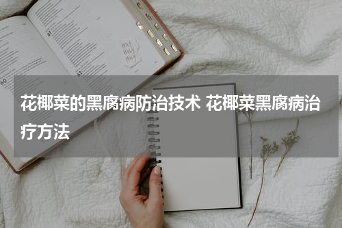 花椰菜的黑腐病防治技术 花椰菜黑腐病治疗方法