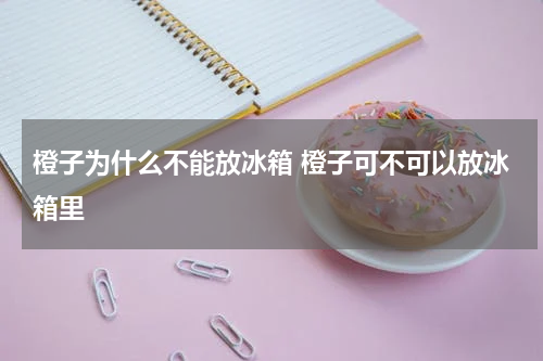 橙子为什么不能放冰箱 橙子可不可以放冰箱里