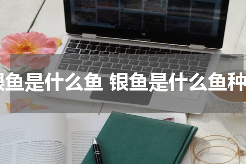 银鱼是什么鱼 银鱼是什么鱼种