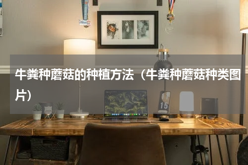 牛粪种蘑菇的种植方法（牛粪种蘑菇种类图片）