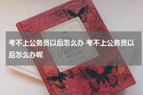 考不上公务员以后怎么办 考不上公务员以后怎么办呢