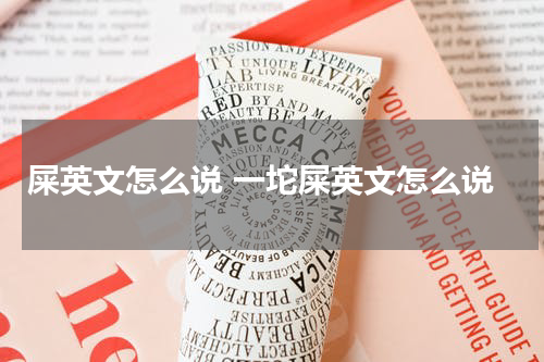 屎英文怎么说 一坨屎英文怎么说