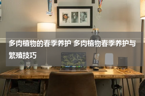 多肉植物的春季养护 多肉植物春季养护与繁殖技巧