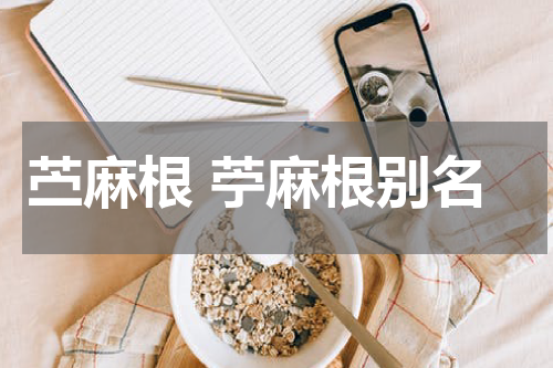 苎麻根 苧麻根别名