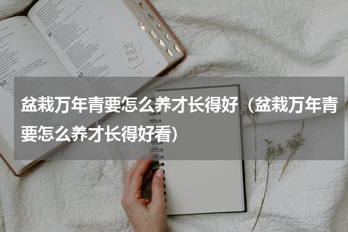 盆栽万年青要怎么养才长得好（盆栽万年青要怎么养才长得好看）