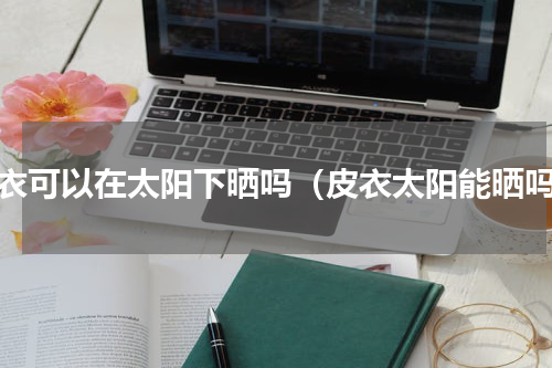 皮衣可以在太阳下晒吗（皮衣太阳能晒吗）