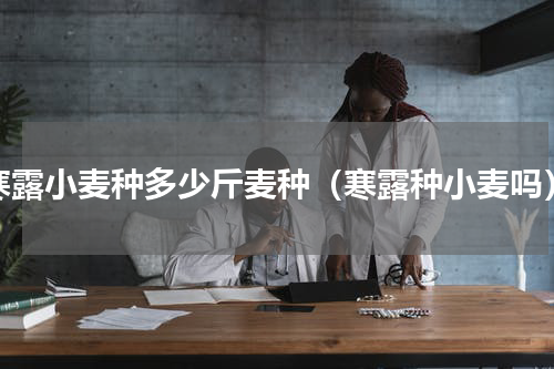 寒露小麦种多少斤麦种（寒露种小麦吗）