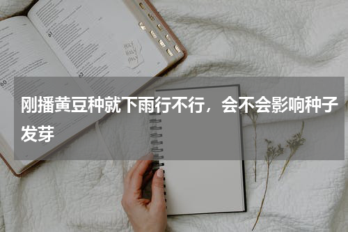 刚播黄豆种就下雨行不行，会不会影响种子发芽