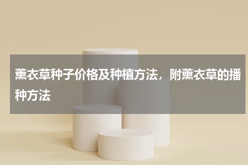 薰衣草种子价格及种植方法，附薰衣草的播种方法