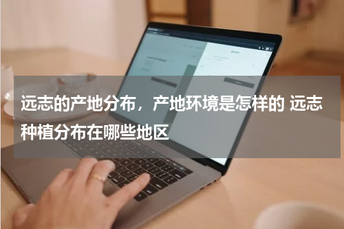 远志的产地分布，产地环境是怎样的 远志种植分布在哪些地区