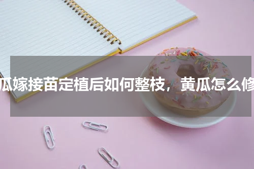 黄瓜嫁接苗定植后如何整枝，黄瓜怎么修剪