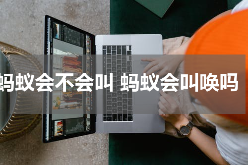 蚂蚁会不会叫 蚂蚁会叫唤吗