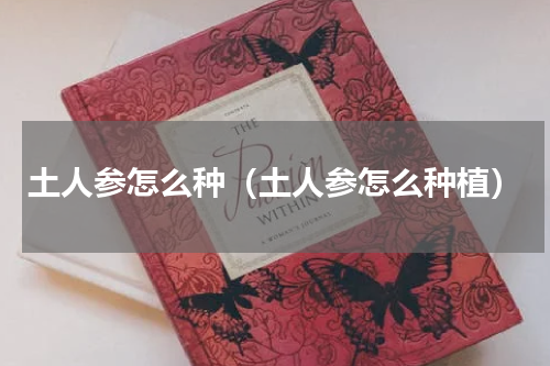 土人参怎么种（土人参怎么种植）