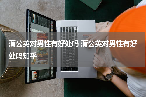蒲公英对男性有好处吗 蒲公英对男性有好处吗知乎