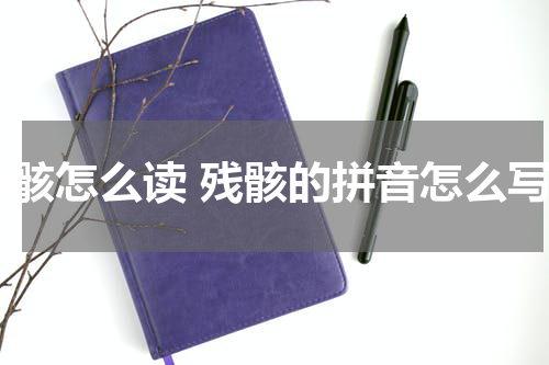 残骸怎么读 残骸的拼音怎么写