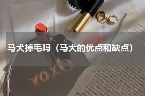 马犬掉毛吗（马犬的优点和缺点）