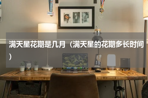 满天星花期是几月（满天星的花期多长时间）
