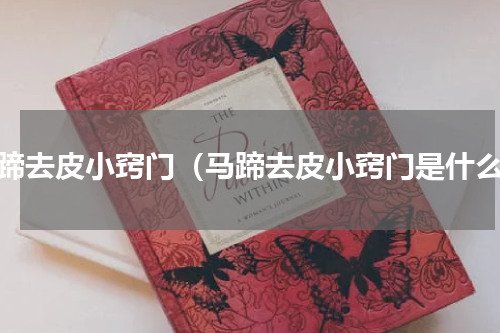 马蹄去皮小窍门（马蹄去皮小窍门是什么）