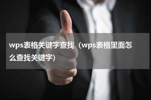 wps表格关键字查找（wps表格里面怎么查找关键字）