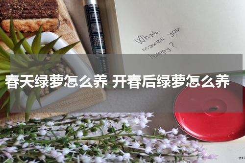 春天绿萝怎么养 开春后绿萝怎么养