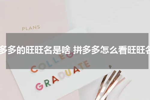 拼多多的旺旺名是啥 拼多多怎么看旺旺名