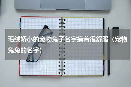 毛绒娇小的宠物兔子名字摸着很舒服（宠物兔兔的名字）
