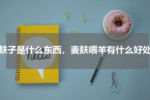 麦麸子是什么东西，麦麸喂羊有什么好处？