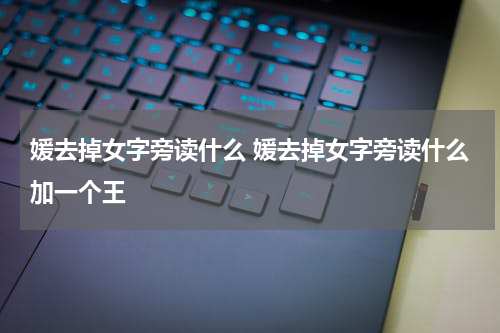 媛去掉女字旁读什么 媛去掉女字旁读什么加一个王