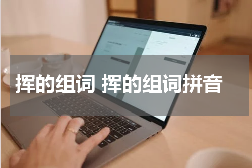 挥的组词 挥的组词拼音