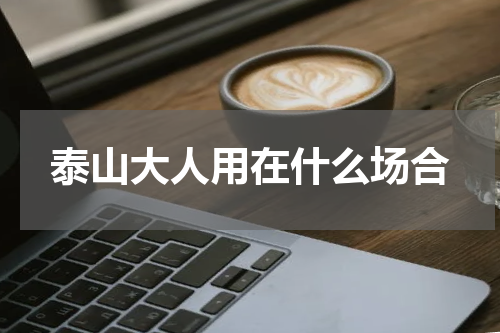 泰山大人用在什么场合