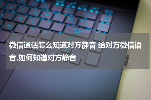 微信通话怎么知道对方静音 给对方微信语音,如何知道对方静音