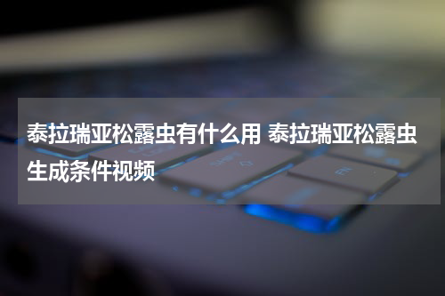 泰拉瑞亚松露虫有什么用 泰拉瑞亚松露虫生成条件视频