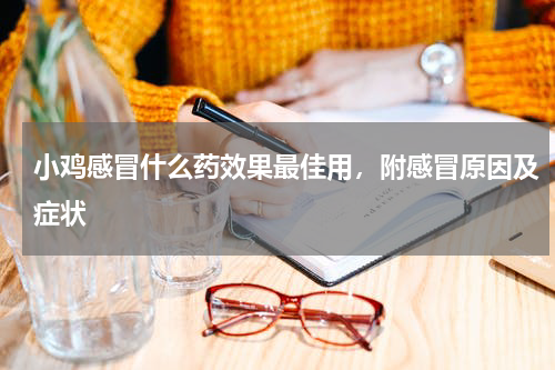小鸡感冒什么药效果最佳用，附感冒原因及症状