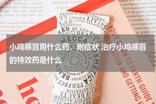 小鸡感冒用什么药，附症状 治疗小鸡感冒的特效药是什么