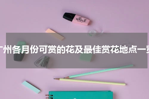 广州各月份可赏的花及最佳赏花地点一览