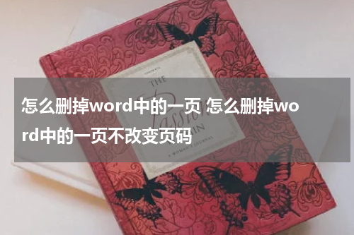 怎么删掉word中的一页 怎么删掉word中的一页不改变页码