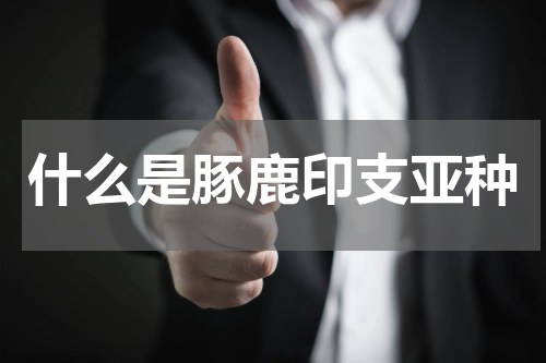什么是豚鹿印支亚种