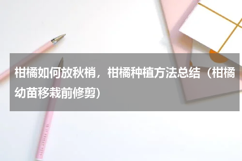 柑橘如何放秋梢，柑橘种植方法总结（柑橘幼苗移栽前修剪）