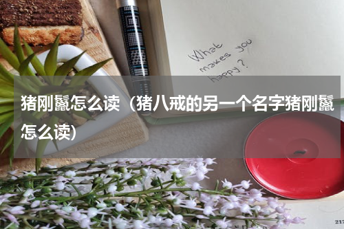 猪刚鬣怎么读（猪八戒的另一个名字猪刚鬣怎么读）