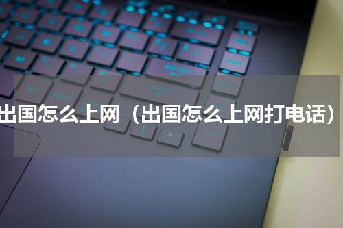 出国怎么上网（出国怎么上网打电话）
