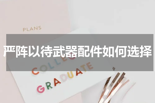严阵以待武器配件如何选择