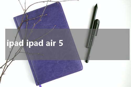 ipad ipad air 5
