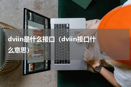dviin是什么接口（dviin接口什么意思）